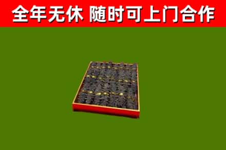 建湖县回收海参